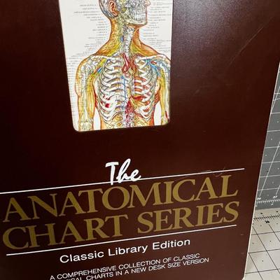 The Anatomical Chart Series 