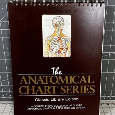 The Anatomical Chart Series 