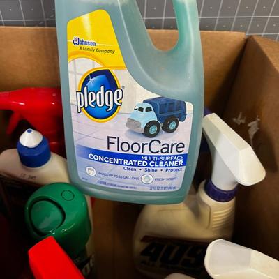 Box full of Cleaning Products; Resolve, 409, Hand Soap etc. 