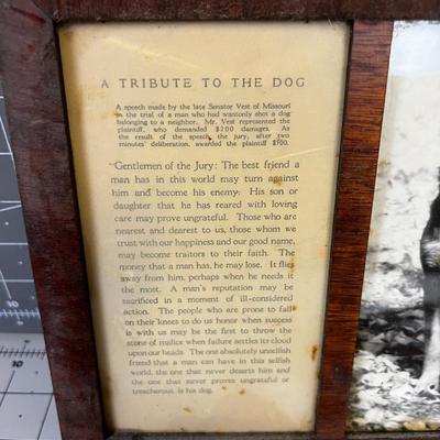 Doggie Signs and Plaques 