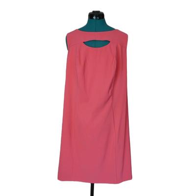 Pink DressBarn Dress 16