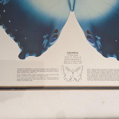 Framed Wall Decor and Prints
