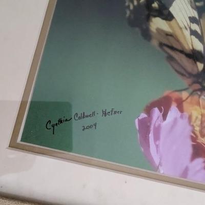 Framed Wall Decor and Prints