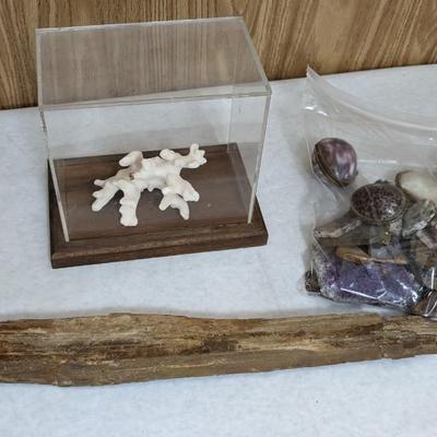 Natural Specimens