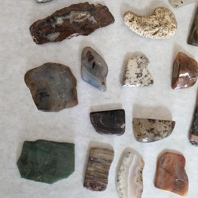 Natural Specimens