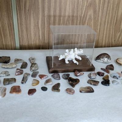 Natural Specimens