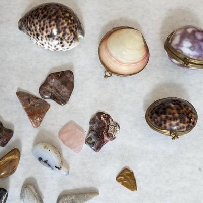 Natural Specimens