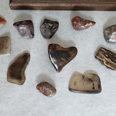 Natural Specimens
