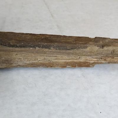 Natural Specimens