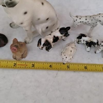 Cats and Dogs