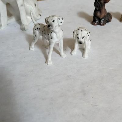 Cats and Dogs