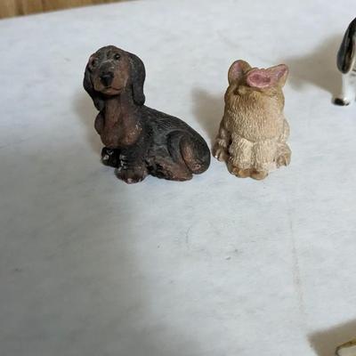 Cats and Dogs