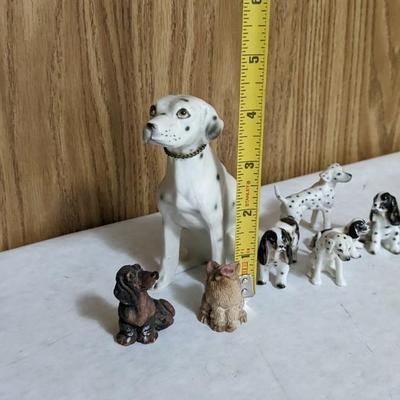 Cats and Dogs