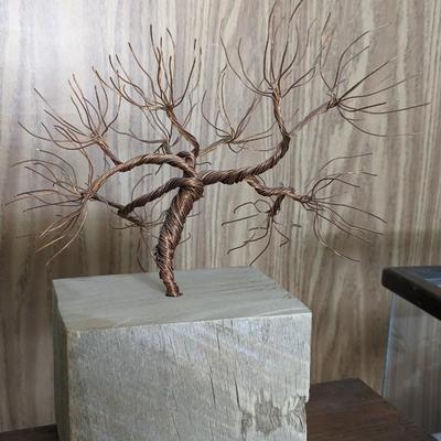 Taxidermy Curiosities