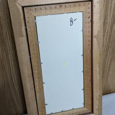 Framed Butterfly Specimens