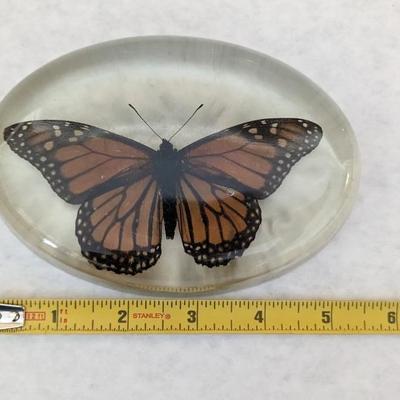Metamorphosis 