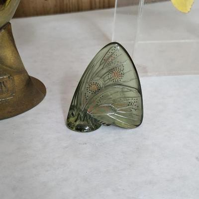 Metamorphosis 