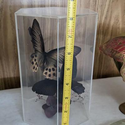 Metamorphosis 
