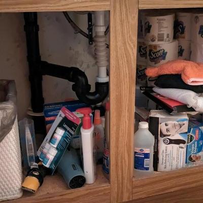 Contents of Bathroom