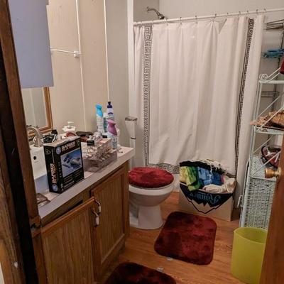 Contents of Bathroom