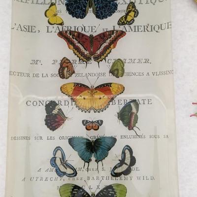 Decorative Butterfly Assortment