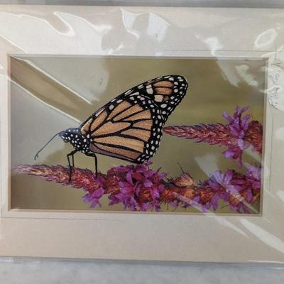 Decorative Butterfly Assortment