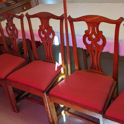 Set of 5 Chippendale Oak Antique Well Upholstered Chairs