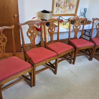 Set of 5 Chippendale Oak Antique Well Upholstered Chairs