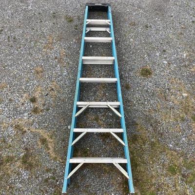 109 Werner Fiberglass 8-ft Step Ladder