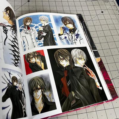 The Art of Vampire Knight, BOOK Japanese Anime 