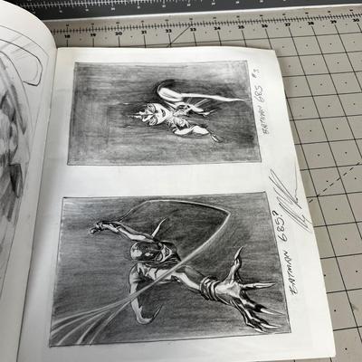 2 Alex Ross Sketch Book Comics