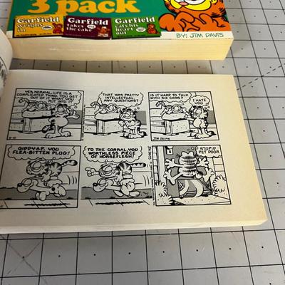 2 Garfield Compilation Books,