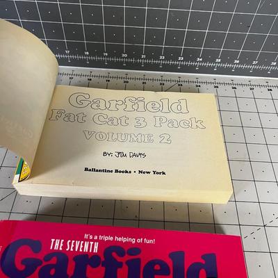 2 Garfield Compilation Books,