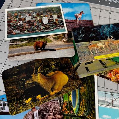 Pile of Vintage Postcards form the 30's to the 50's 