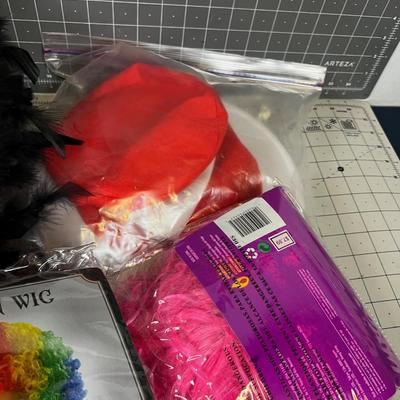Halloween Costume Items: Wigs, Hats, Glasses