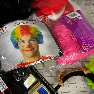 Halloween Costume Items: Wigs, Hats, Glasses