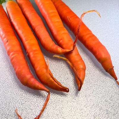 REALISTIC CARROT BUNCH 