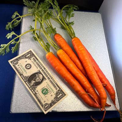 REALISTIC CARROT BUNCH 