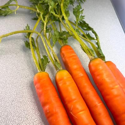 REALISTIC CARROT BUNCH 