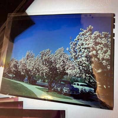 PHOTO NEGATIVES CIRCA 1940â€™S â€“ 50â€™S