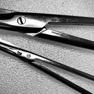 LAWTON SURGICAL CURVED TIP SCISSORS x2