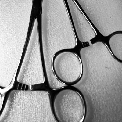 STAINLESS SURGICAL CLAMPS X 2