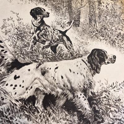 VINTAGE 50â€™S HUNTING DOG PRINT FRAMED