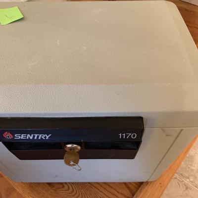 SentrySafe Fireproof Safe Box with Key Lock, Safe for Files and Documents, 0.61 Cubic Feet, 13.6 x 15.3 x 12.1 inches, 1170