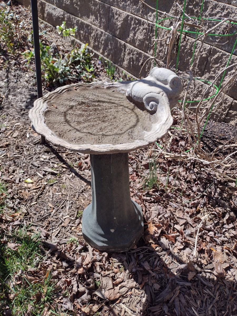 Concrete Bird Bath