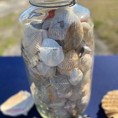 Vintage Mason Pickle Jar, Sea Shell Lot
