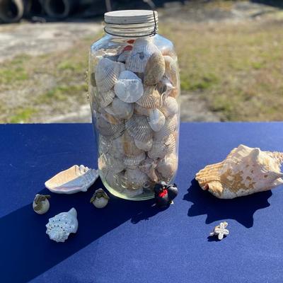 Vintage Mason Pickle Jar, Sea Shell Lot