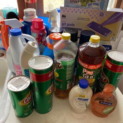Household Maintance Lot