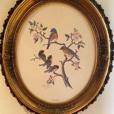 Framed signed & numbered vintage print of Eastern Bluebird by Dolores Roberson