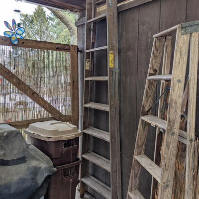 Werner 8' Wooden Step Ladder